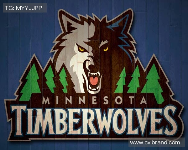 马刺队：从重建到王者的终极挑战